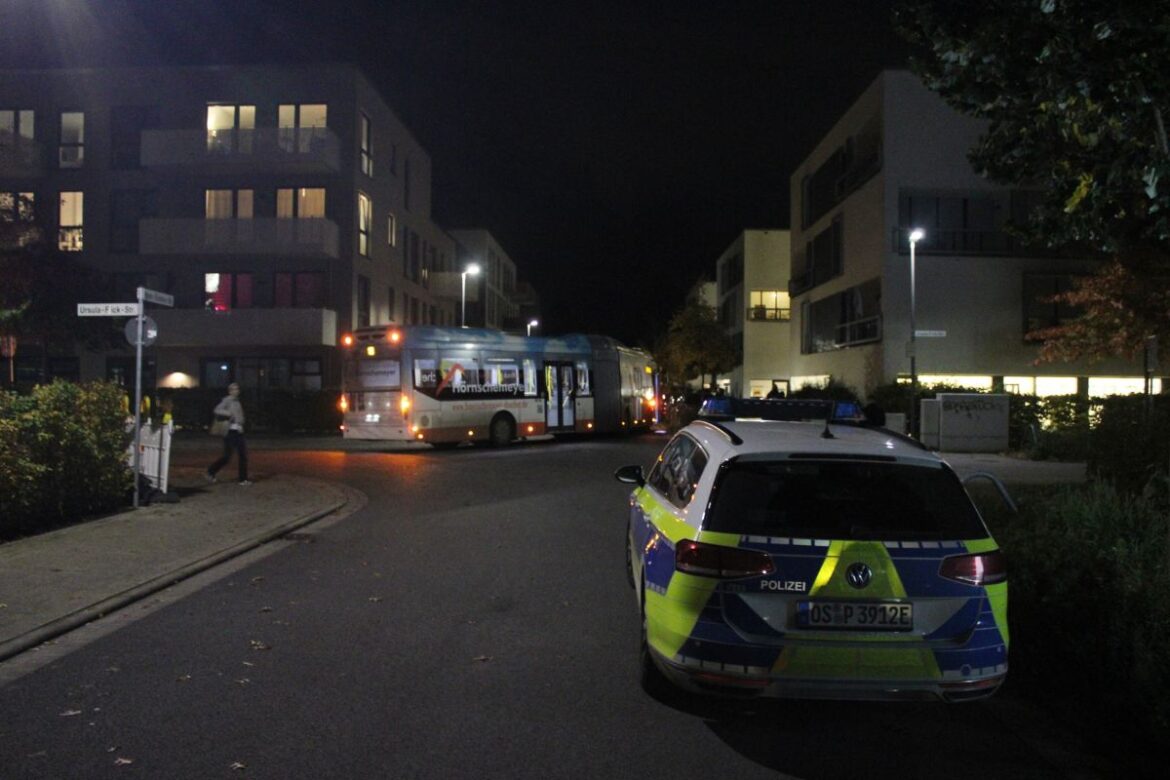 Bus steckt fest. / Foto: Dominik Lapp