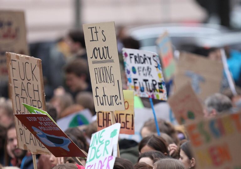 Fridays for Future Protestschilder