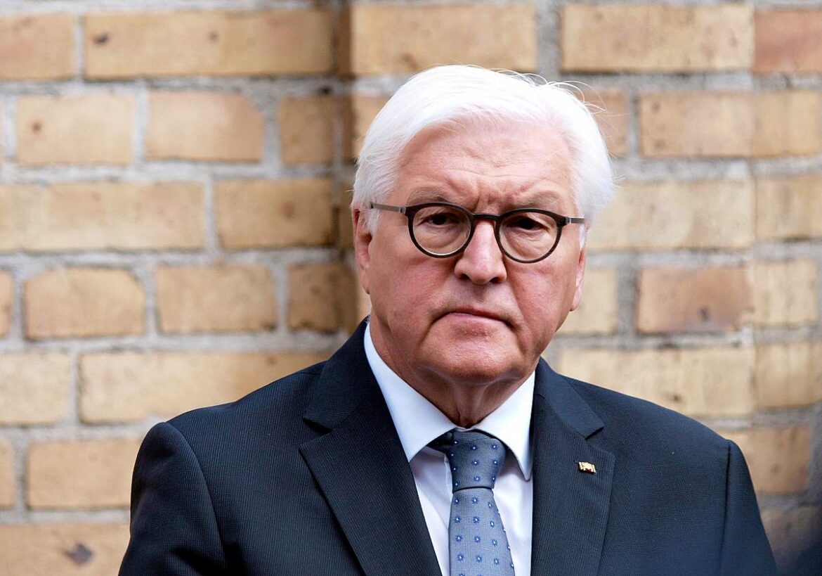 Bundespräsident Frank-Walter Steinmeier (SPD)
