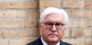 Bundespräsident Frank-Walter Steinmeier (SPD)