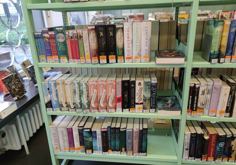 Bibliotheksregal