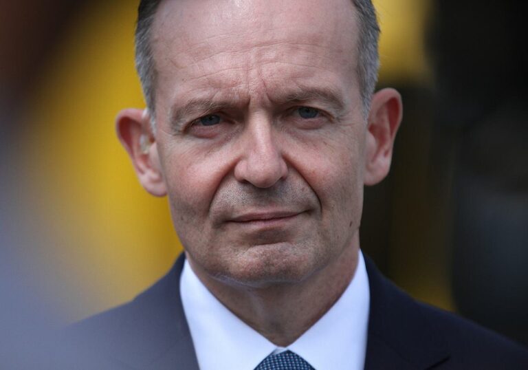 Volker Wissing (FDP)