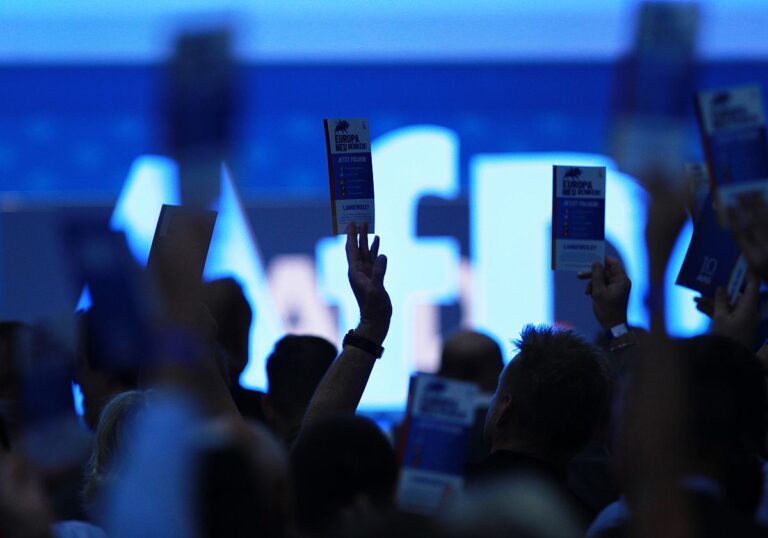 AfD Abstimmung