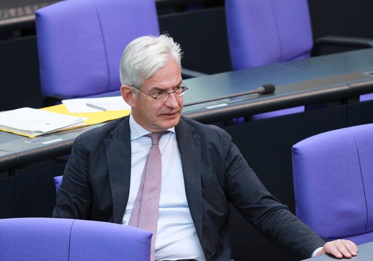 Mathias Middelberg (CDU)