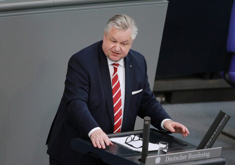 Michael Link (FDP)