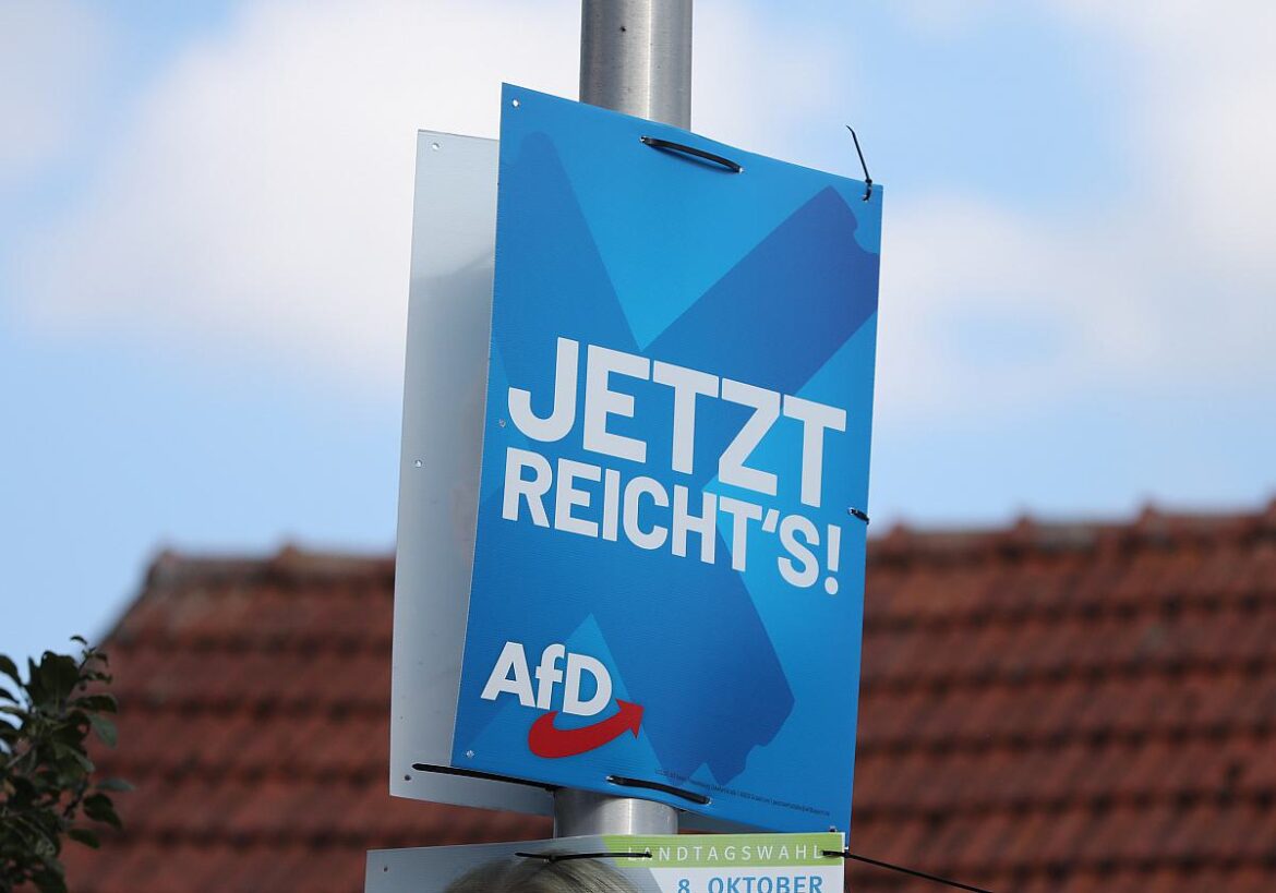 Wahlplakat AfD