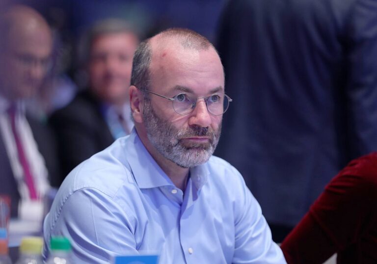 Manfred Weber (CSU)