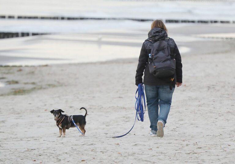 Frau mit Hund