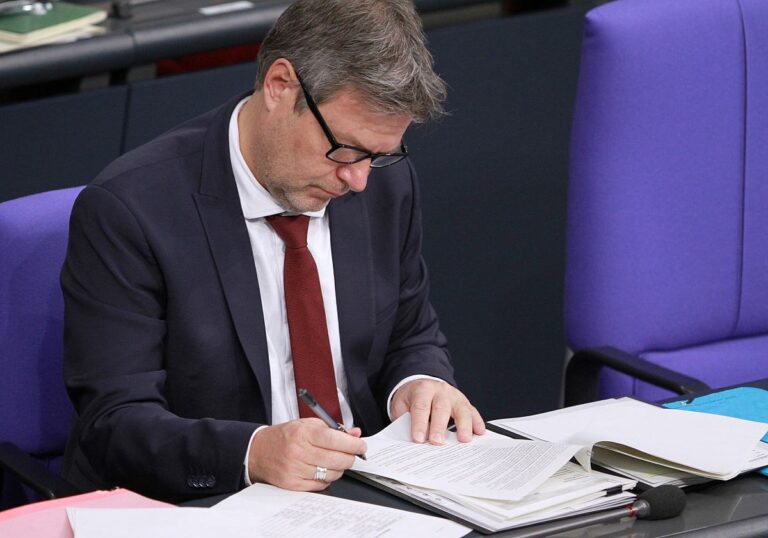 Bundeswirtschaftsminister Robert Habeck (Grüne)