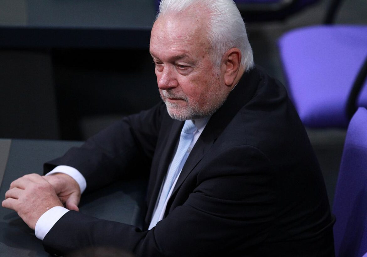 Wolfgang Kubicki (FDP)