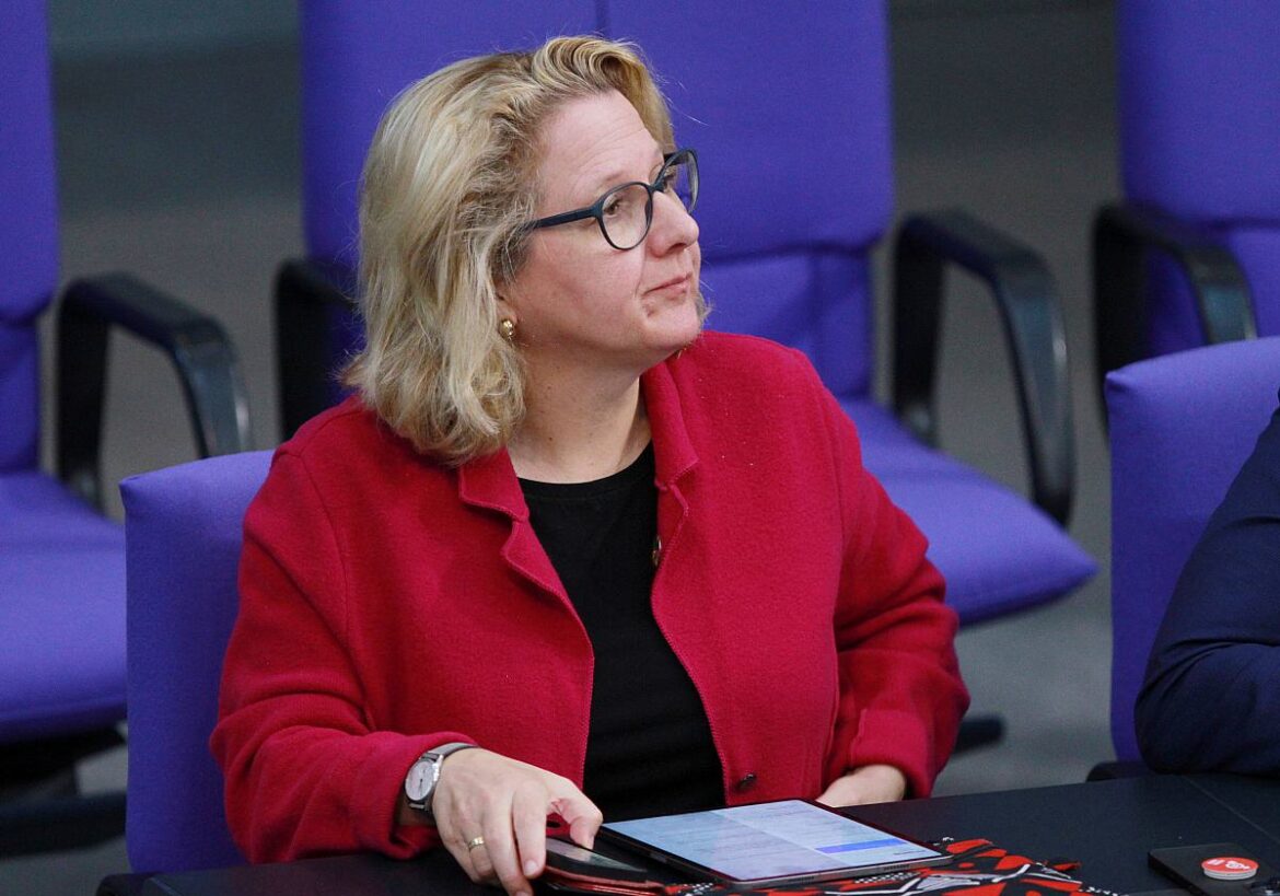 Bundesentwicklungsministerin Svenja Schulze (SPD)