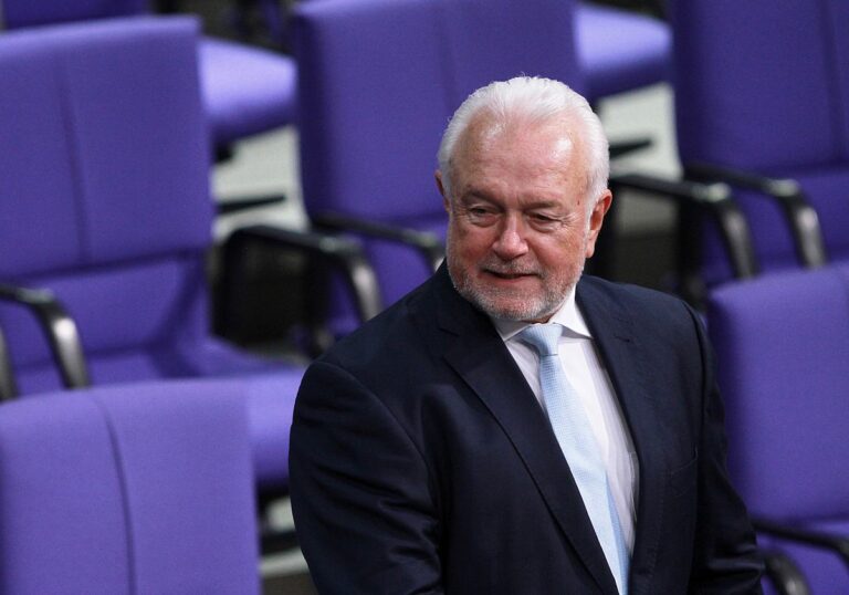 Wolfgang Kubicki (FDP)