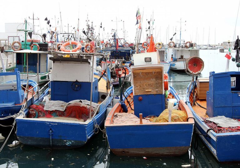 Fischerschiffe