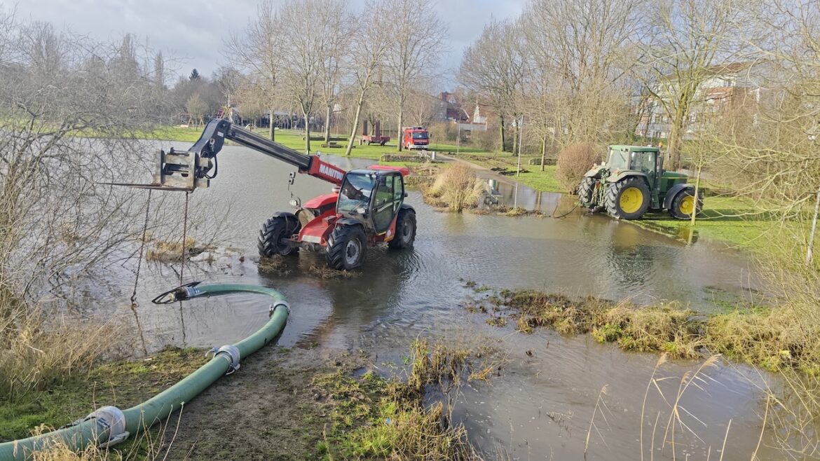 Mit schweren Gerät gegen die Flut der Hase.