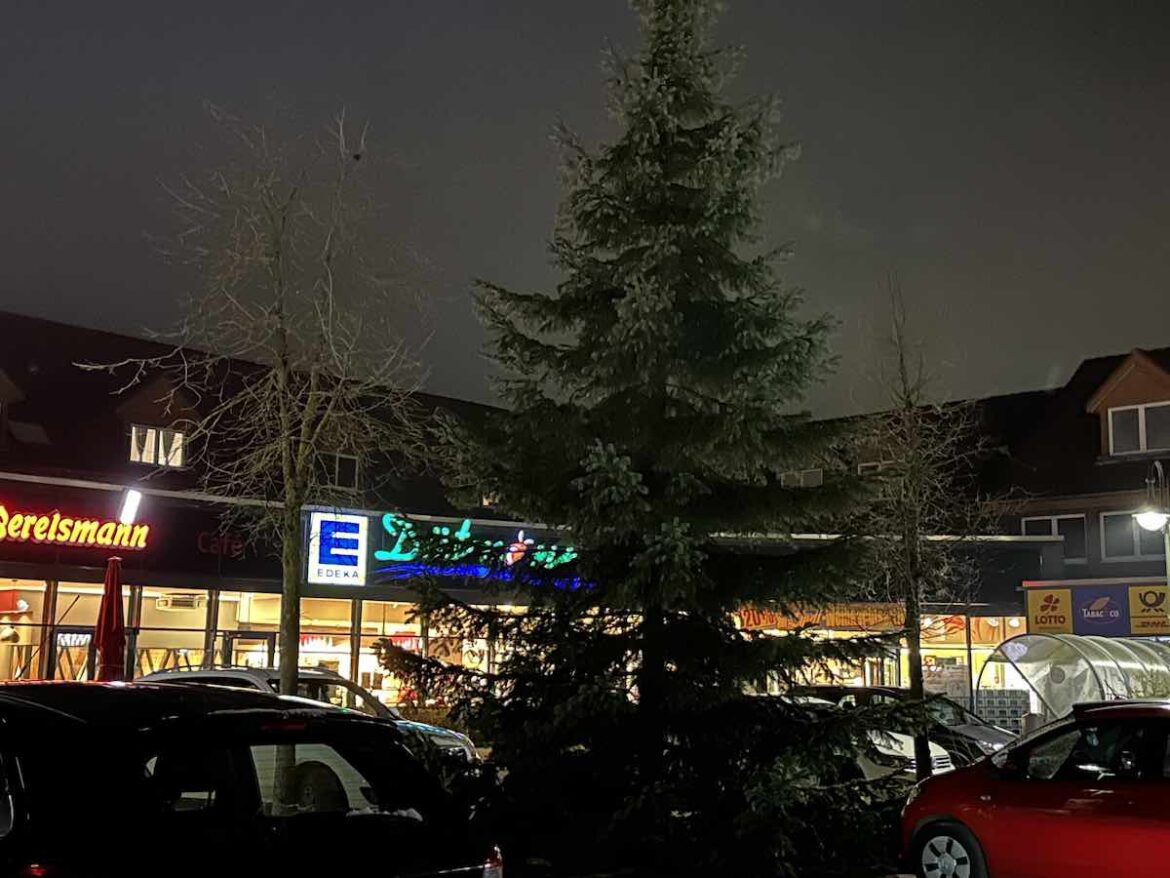 Dunkler Weihnachtsbaum in Hollage (Wallenhorst)