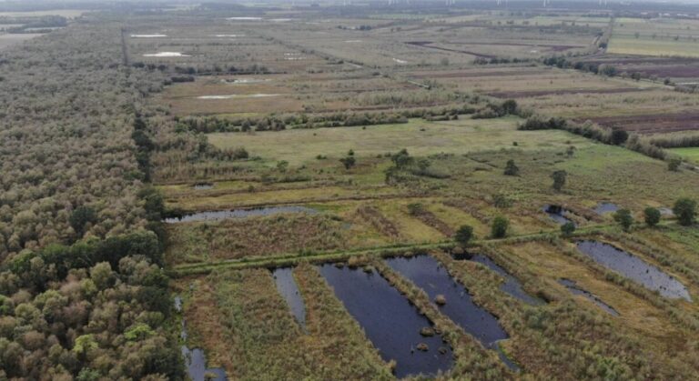 Venner Moor