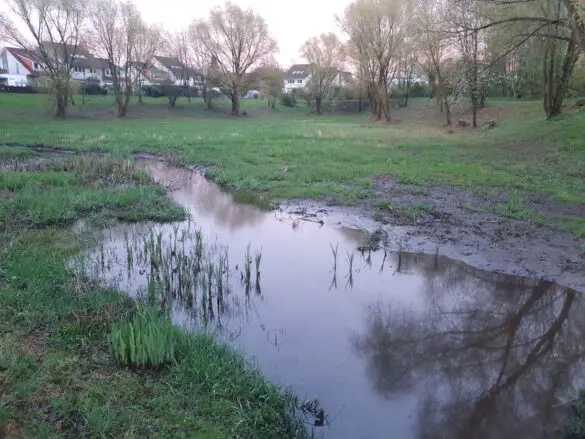 Einsatz in Hasbergen: Öl auf Gewässer