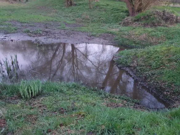 Einsatz in Hasbergen: Öl auf Gewässer