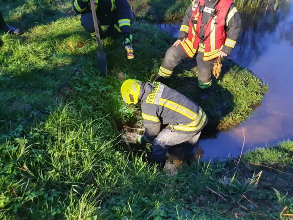 Einsatz in Hasbergen: Öl auf Gewässer