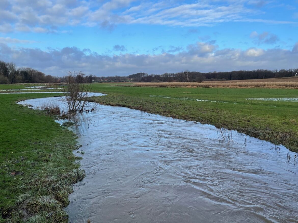 Auch im Stadtteil Holzhausen schwoll die Düte bis zum Flussbettrand an, größere Ausuferungen hat es im gesamten Stadtgebiet aber nicht gegeben.