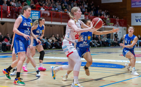 GiroLive-Panthers Osnabrück gewinnen knapp mit 66:64 gegen Blue Dolphins Marburg