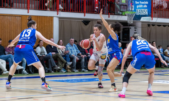 GiroLive-Panthers Osnabrück gewinnen knapp mit 66:64 gegen Blue Dolphins Marburg