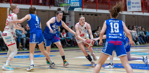 GiroLive-Panthers Osnabrück gewinnen knapp mit 66:64 gegen Blue Dolphins Marburg