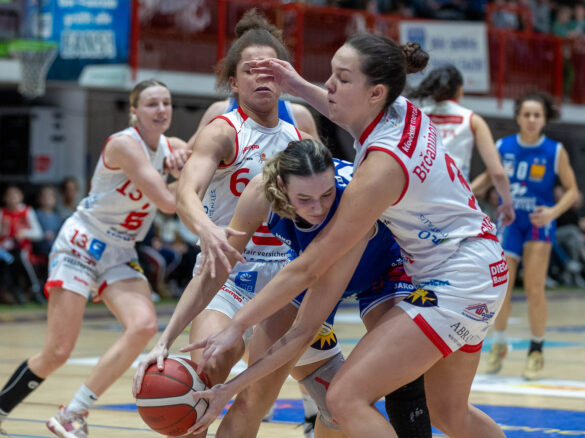 GiroLive-Panthers Osnabrück gewinnen knapp mit 66:64 gegen Blue Dolphins Marburg