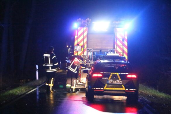 PKW prallt gegen umgekippten Baum in Bissendorf