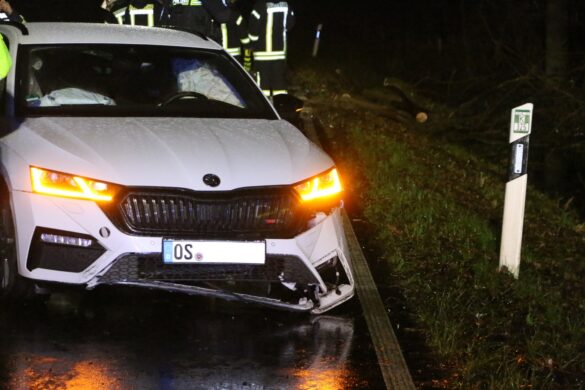 PKW prallt gegen umgekippten Baum in Bissendorf