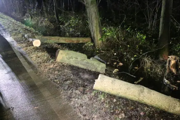 PKW prallt gegen umgekippten Baum in Bissendorf