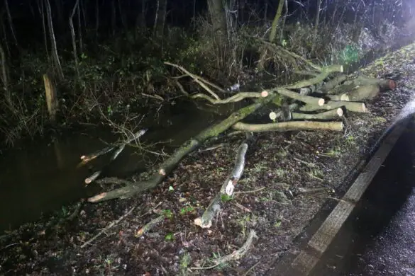 PKW prallt gegen umgekippten Baum in Bissendorf