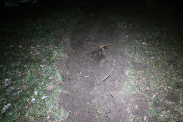 Familie überschlägt sich mit PKW im Autobahnkreuz Osnabrück-Süd. / Foto: Heiko Westermann Familie überschlägt sich mit PKW im Autobahnkreuz Osnabrück-Süd