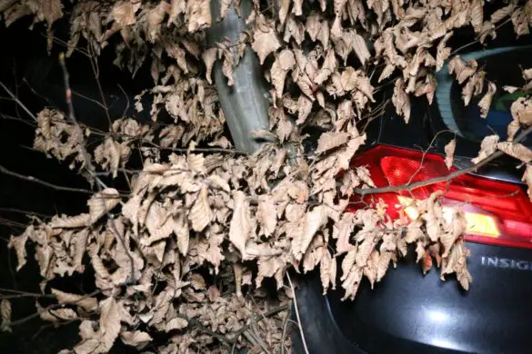 Familie überschlägt sich mit PKW im Autobahnkreuz Osnabrück-Süd. / Foto: Heiko Westermann Familie überschlägt sich mit PKW im Autobahnkreuz Osnabrück-Süd