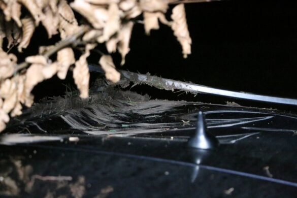 Familie überschlägt sich mit PKW im Autobahnkreuz Osnabrück-Süd. / Foto: Heiko Westermann Familie überschlägt sich mit PKW im Autobahnkreuz Osnabrück-Süd