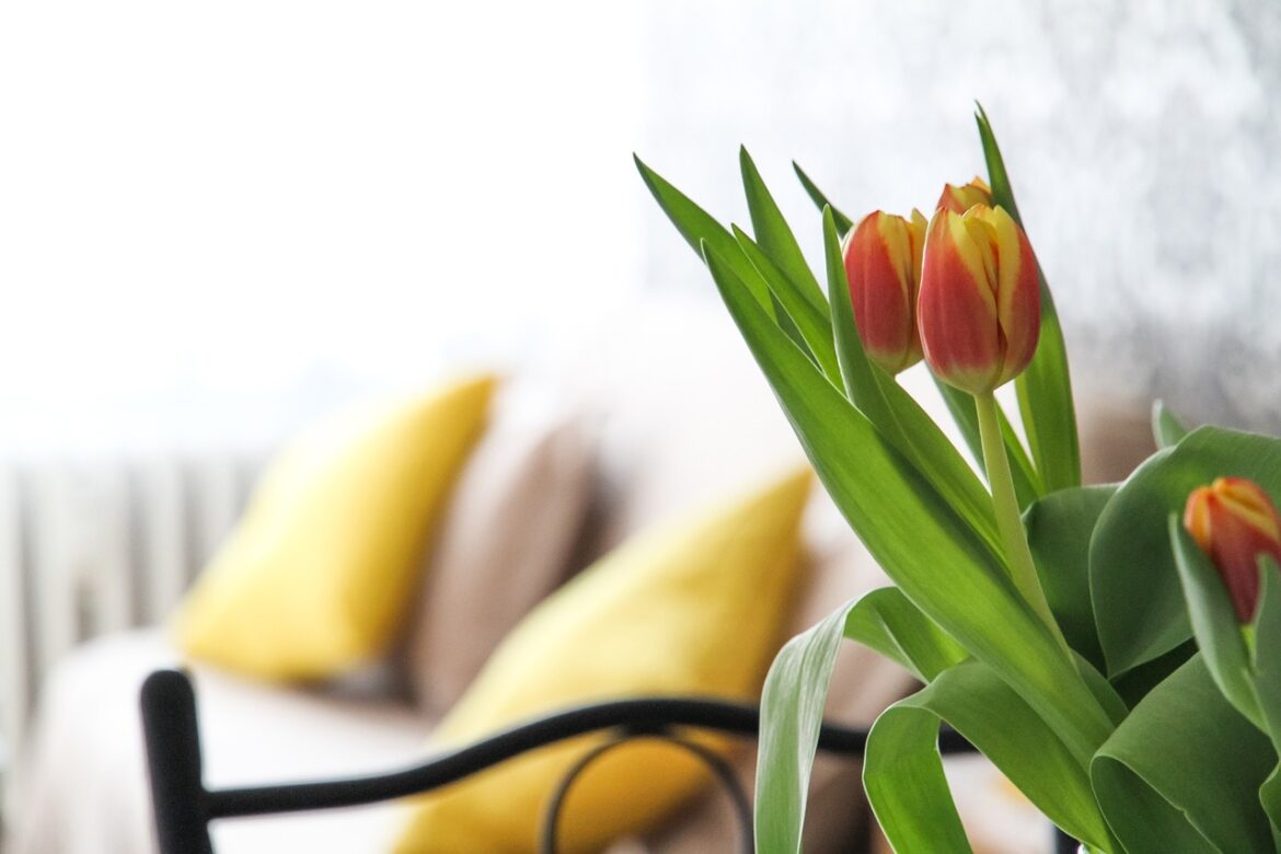 Tulpen im Wohnzimmer