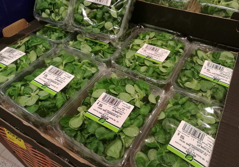Feldsalat