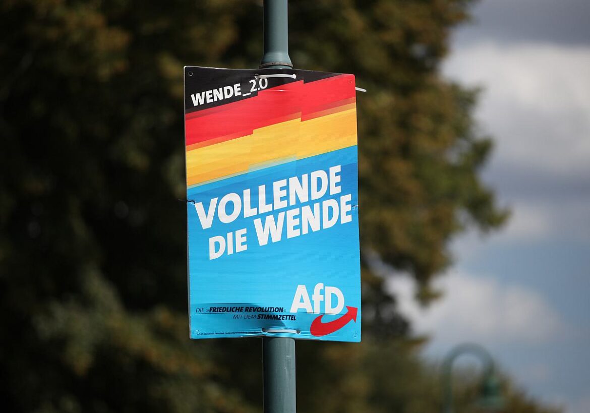 Wahlplakat AfD