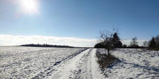 Schneebedecktes Feld