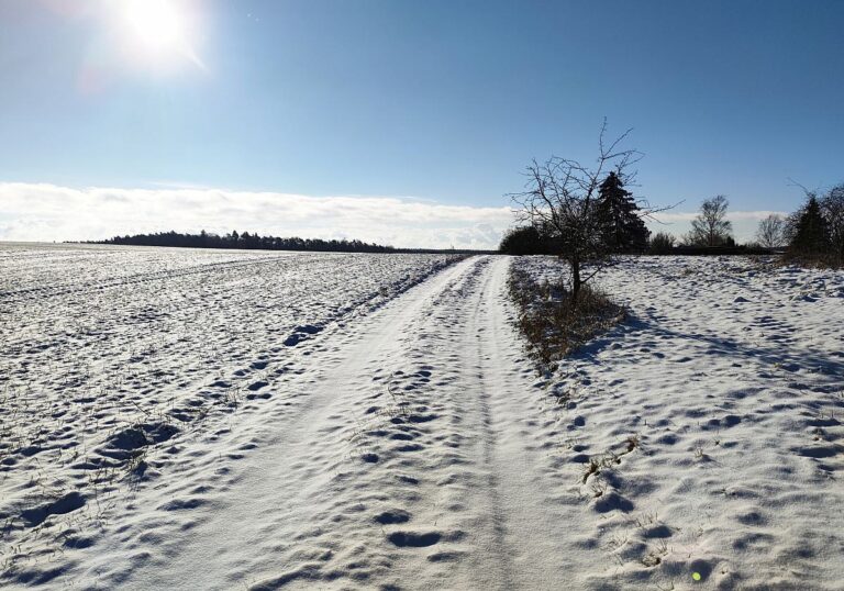 Schneebedecktes Feld