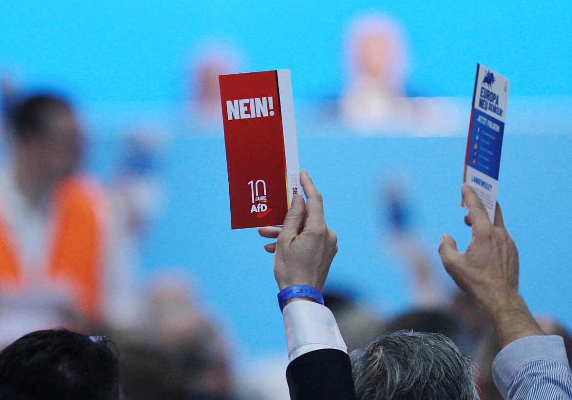 Stimmzettel AfD "Nein!"