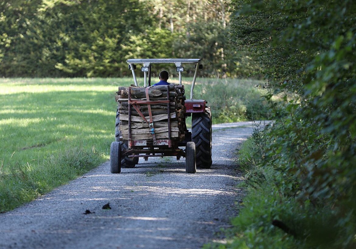 Traktor transportiert Holz