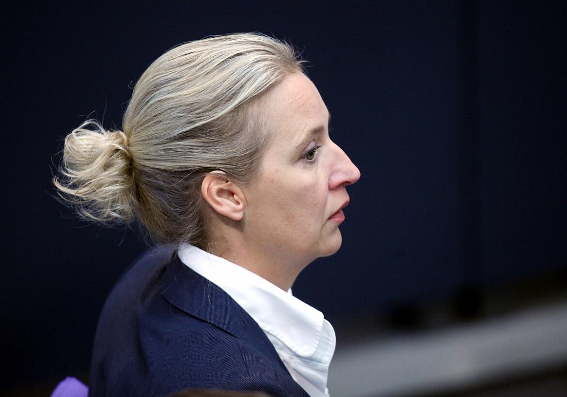 Alice Weidel (AfD)