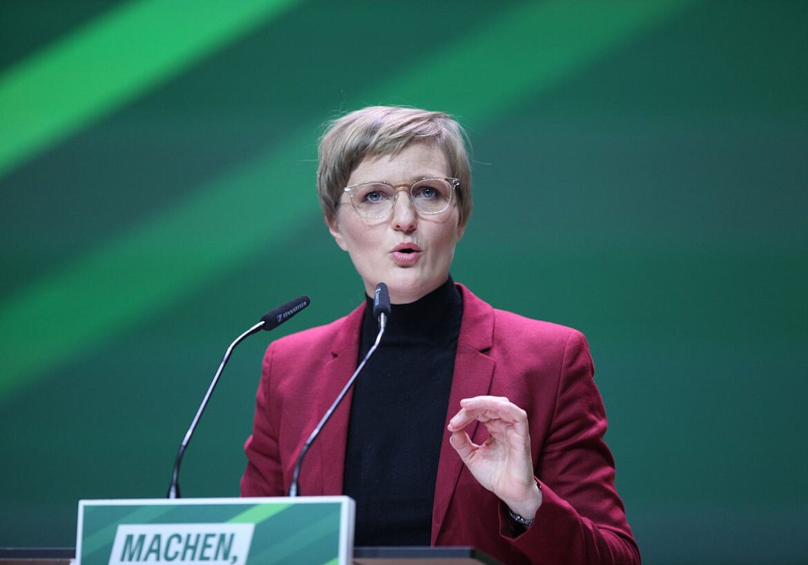 Franziska Brantner (Grüne)