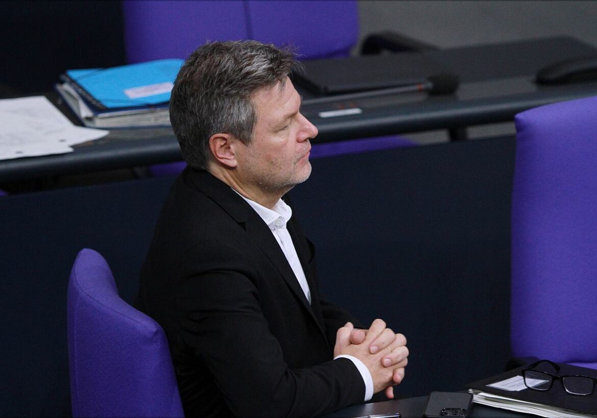 Robert Habeck (Grüne)