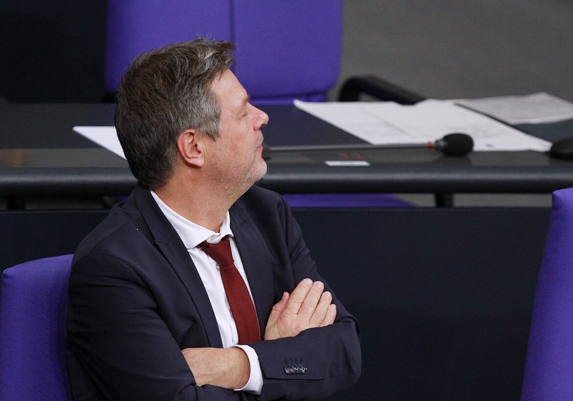 Robert Habeck (Grüne)