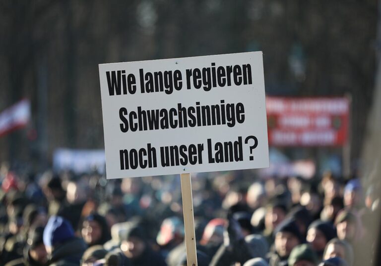 Protestschild: Wie lange reagieren Schwachsinnige noch unser Land?