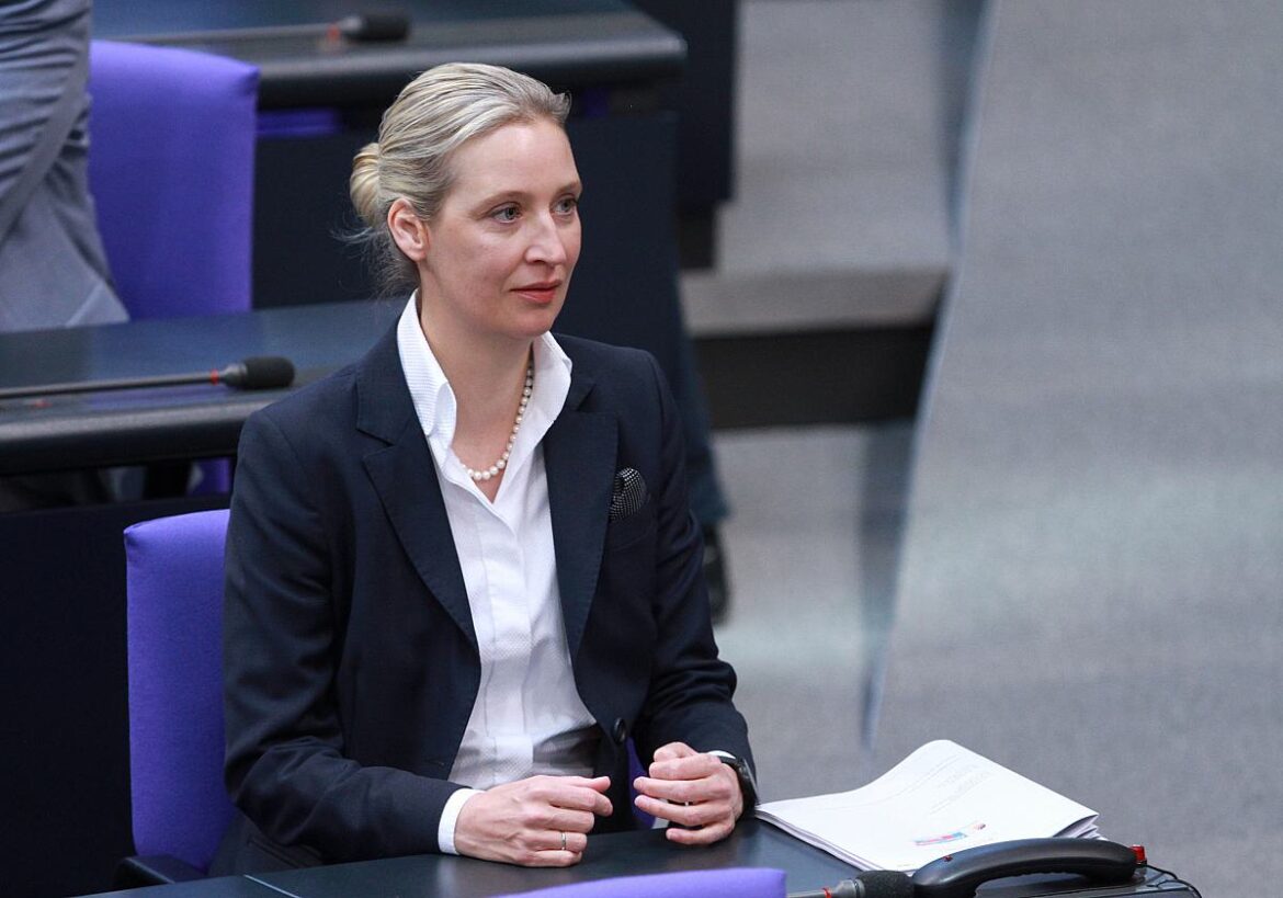 Alice Weidel (AfD)