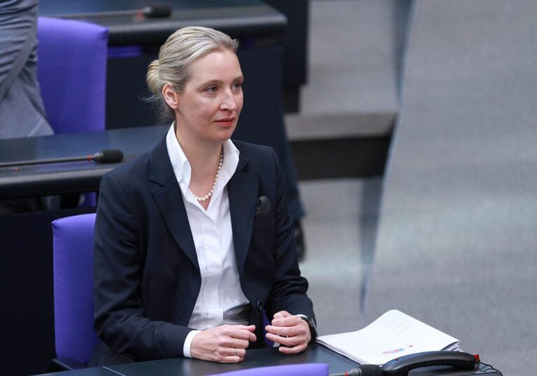 Alice Weidel (AfD)