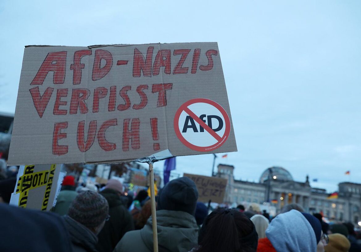 Demonstrationsschild gegen AfD und Nazis